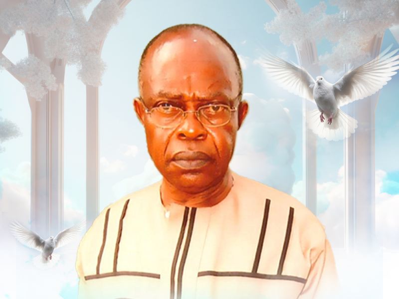 Late Ifeanyi Ubabukoh