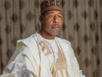 Borno State Governor Babagana Umara Zulum