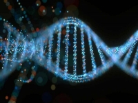 Deoxyribonucleic Acid (DNA) Image Source: Getty Images